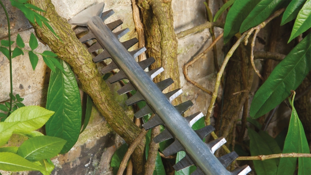 Кущоріз електричний BOSCH AdvancedHedgeCut 65 (06008C0801)